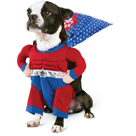 costumi deg